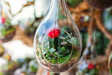 Флорариум: как изготовить и оформить мини-сад за стеклом своими руками