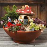 Мини сад в горшке: создание композиций мини-сада в цветочных горшках