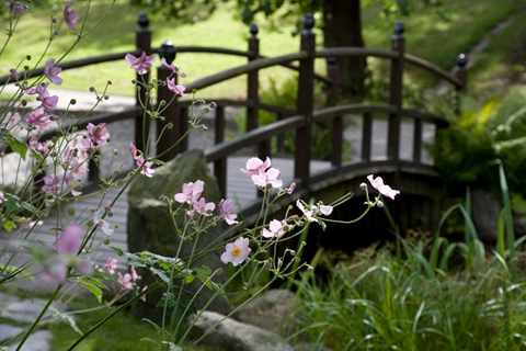 Садовые мостики: украшение участка и изготовление своими руками
