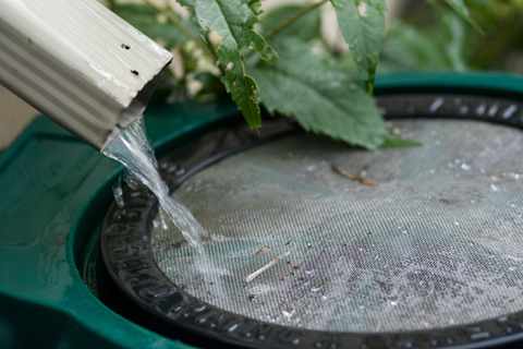 Как собирать дождевую воду: использование ее для хозяйственных нужд